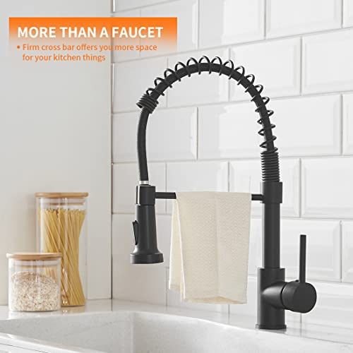 Black Kitchen Faucet with Pull Down Sprayer for Farmhouse Camper Utility RV