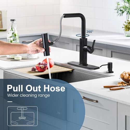 ALESHA Matte Black Single Hole Kitchen Faucet with Pull Down Sprayer & Soap Dispenser