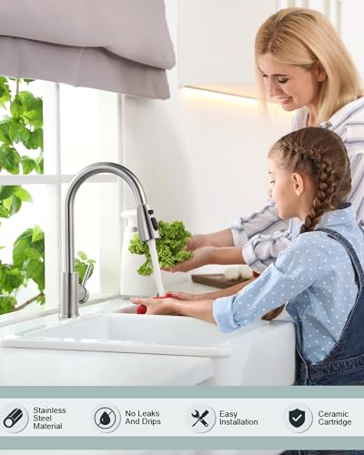 WOWOW High Arc Brushed Nickel Kitchen Faucet with Sprayer