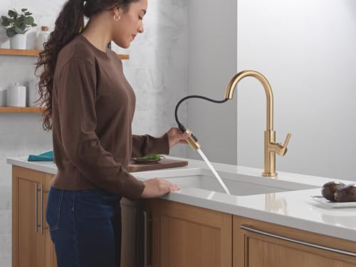 Delta Nicoli Kitchen Faucet with Pull Down Sprayer in Champagne Gold