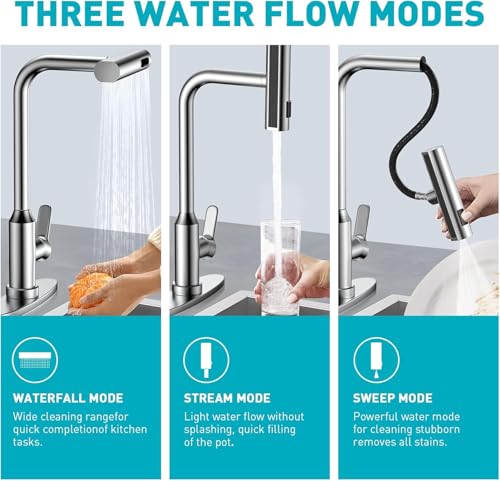 Stainless Steel 3-in-1 Kitchen Faucet with Pull Down Sprayer (Brushed)