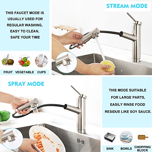 CREA Brushed Nickel Single Handle Kitchen Sink Faucet with Pull Out Prep Wet